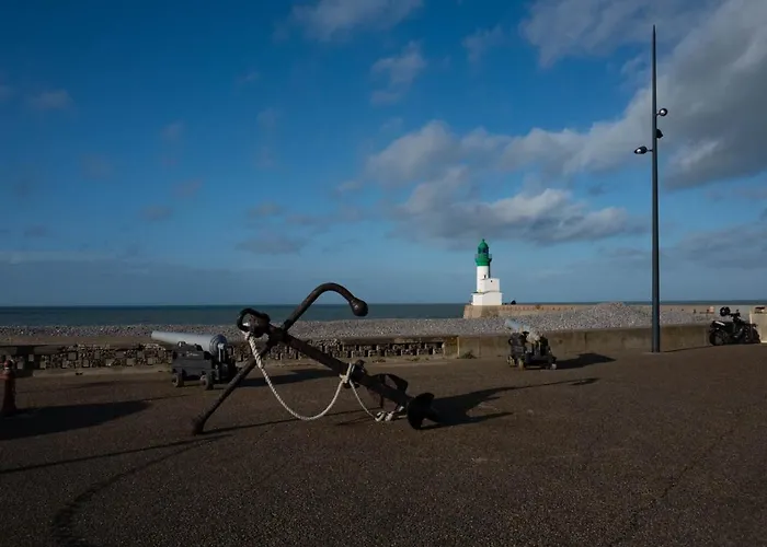 Les Galets Du Treport- Les Tournepierres